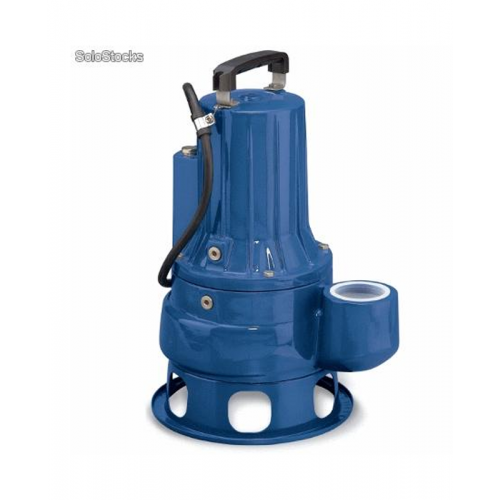 Pedrollo Water Pump